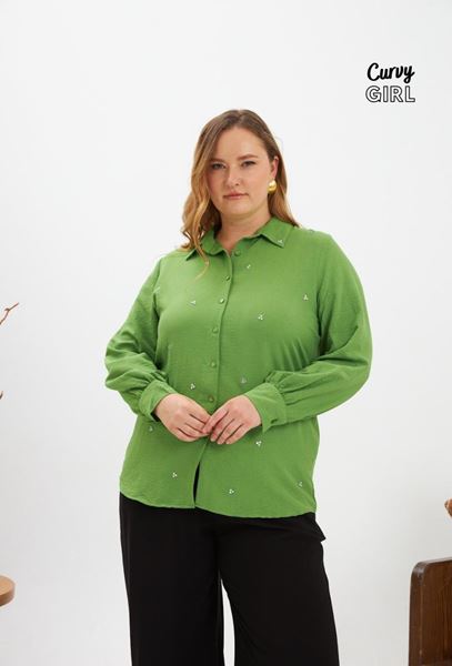 Picture of CURVY GIRL ELEGANT BLOUSE WITH SPARKLY CRYSTALS